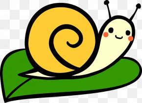 Snail - Snail Gyopi French Hydrangea PNG