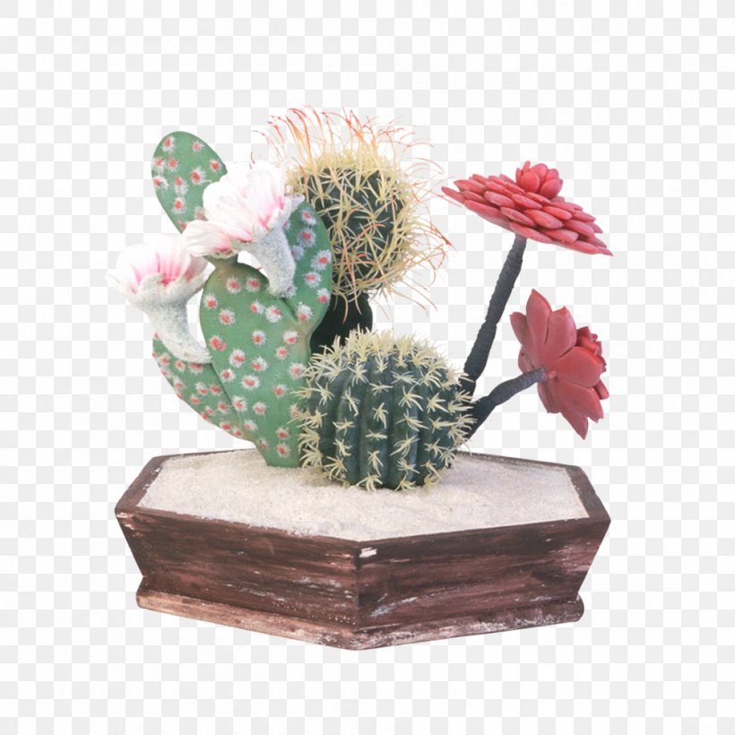 Cactaceae Flowerpot Prickly Pear Euclidean Vector, PNG, 1000x1000px, Cactaceae, Artificial Flower, Cactus, Caryophyllales, Flower Download Free