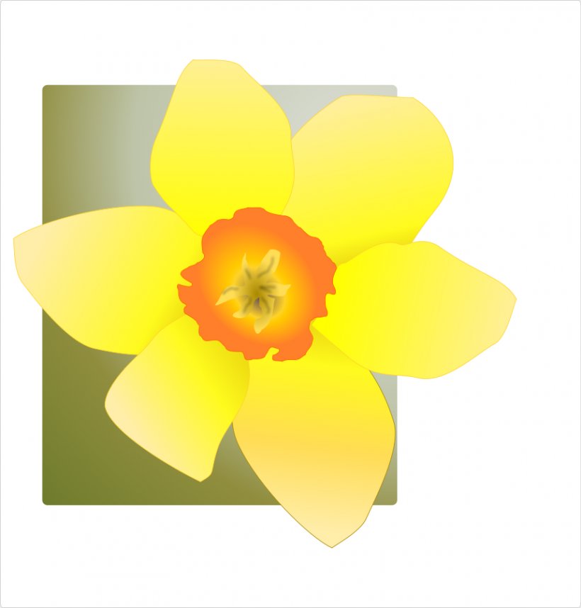 Daffodil Drawing Clip Art, PNG, 860x900px, Daffodil, Amaryllis Family, Drawing, Flower, Flowering Plant Download Free