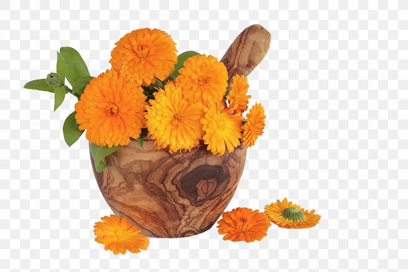 Flower Stock Photography Marigold Royalty-free, PNG, 1000x666px, Flower, Calendula, Calendula Officinalis, Can Stock Photo, Cut Flowers Download Free