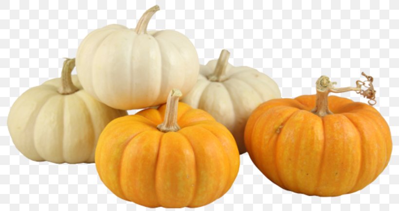 Pumpkin Winter Squash Calabaza Gourd Spider Flower, PNG, 800x435px, Pumpkin, Angelonia, Arrangement, Begonia, Calabaza Download Free