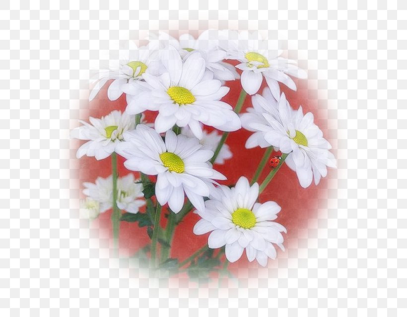 Common Daisy Cut Flowers Floral Design Flower Bouquet, PNG, 604x638px, Common Daisy, Annual Plant, Chrysanthemum, Chrysanths, Cut Flowers Download Free