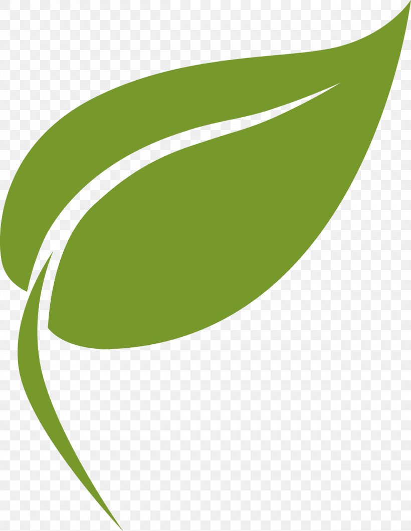 Leaf Logo Production, PNG, 1271x1646px, Leaf, Core Competency, Electronic Cigarette, Grass, Green Download Free