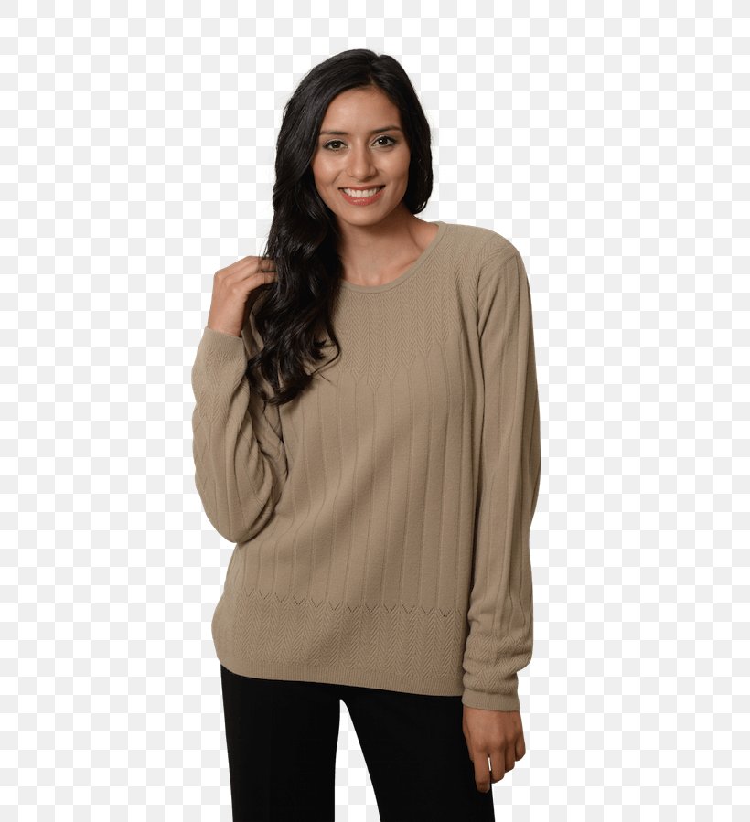 Long-sleeved T-shirt Long-sleeved T-shirt Sweater Blouse, PNG, 600x899px, Sleeve, Beige, Blouse, Clothing, Ear Download Free
