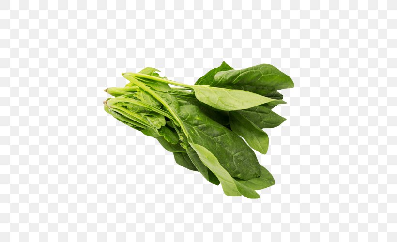 Romaine Lettuce Spinach Chard Falafel Tortelloni, PNG, 500x500px, Romaine Lettuce, Basil, Chard, Chinese Broccoli, Choy Sum Download Free