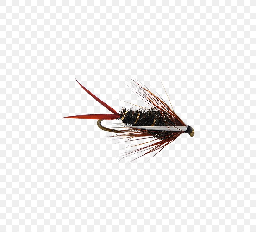 Emergers Artificial Fly Nymph Insect Fly Fishing, PNG ...