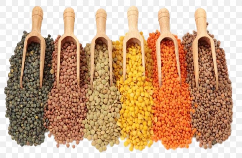 India Dal Legume Black Gram Grain, PNG, 1200x785px, India, Black Gram, Cereal, Chickpea, Commodity Download Free