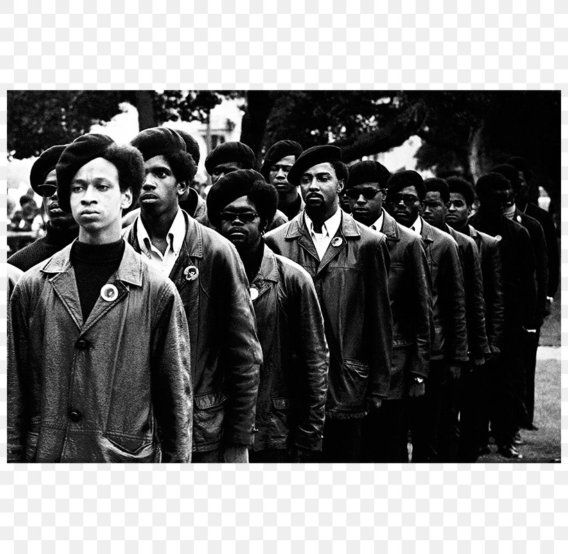 The Black Panthers, PNG, 800x800px, Oakland, African American, Africanamerican History, Black And White, Black Panther Download Free