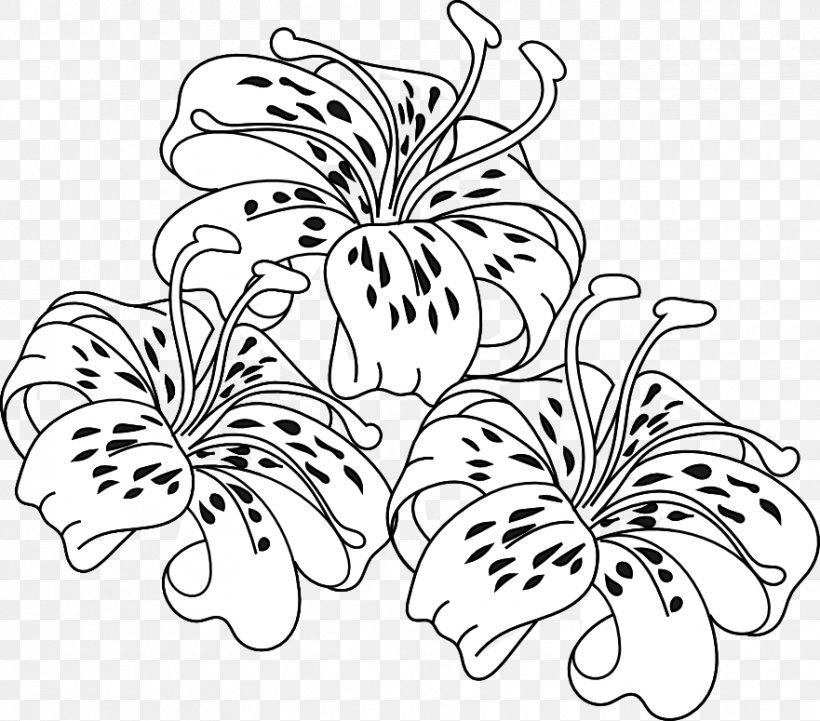 Tiger Lily Easter Lily Coloring Book Flower, PNG, 881x775px, Tiger Lily, Artwork, Arumlily, Black And White, Child Download Free
