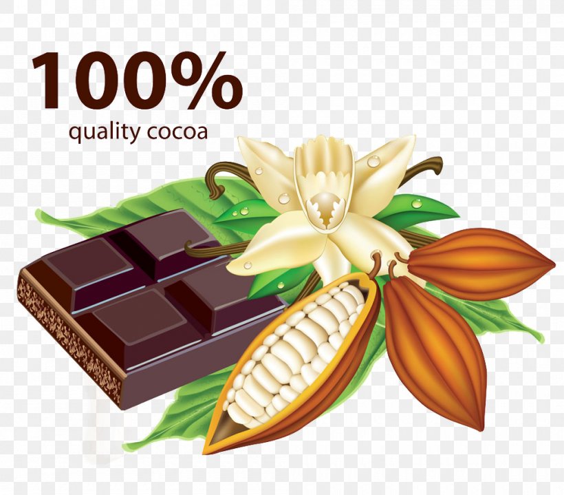 Chocolate Bar Cocoa Bean Vanilla Ice Cream, PNG, 1000x878px, Chocolate Bar, Bean, Cacao Tree, Chocolate, Cocoa Bean Download Free