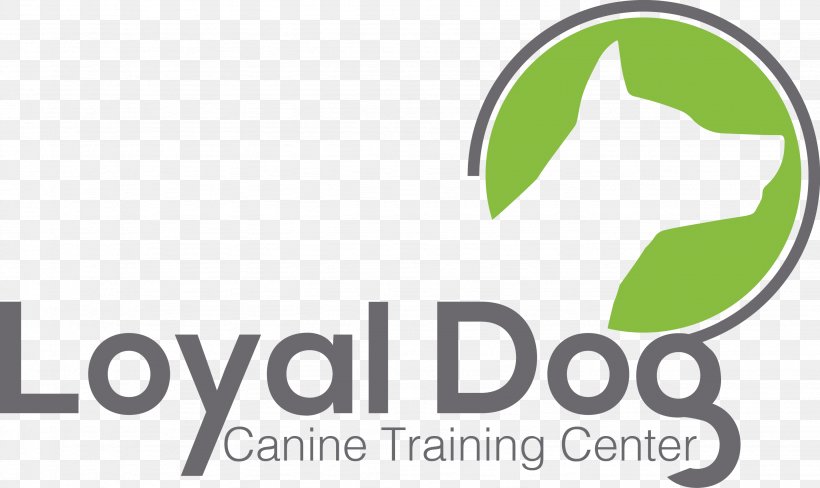 Dog Training Dog Training Logo Canine Tooth, PNG, 2867x1709px, Dog, Area, Brand, Canine Tooth, Dog Training Download Free