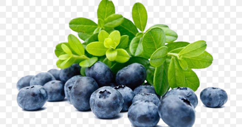 European Blueberry Bilberry Nutrient Fruit, PNG, 760x430px, European Blueberry, Antioxidant, Auglis, Berry, Bilberry Download Free