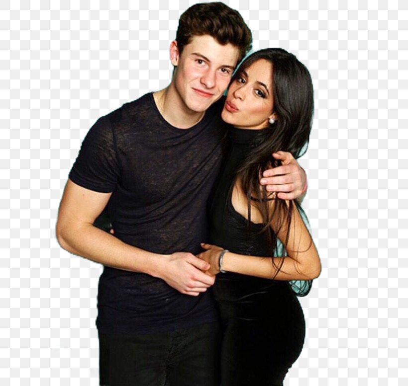 I Love You, PNG, 599x777px, Shawn Mendes, Black Hair, Camila Cabello, Cheek, Fifth Harmony Download Free
