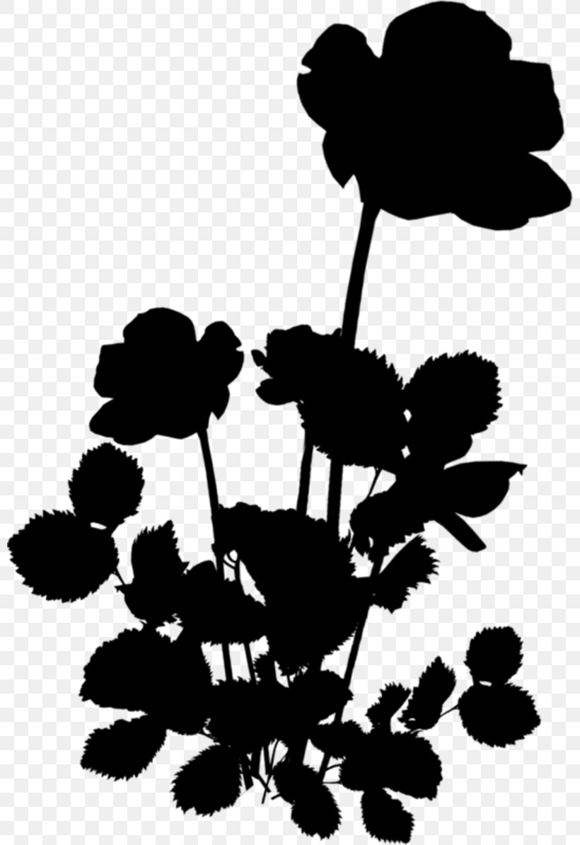 Black & White, PNG, 800x1194px, Black White M, Blackandwhite, Botany, Flower, Flowering Plant Download Free