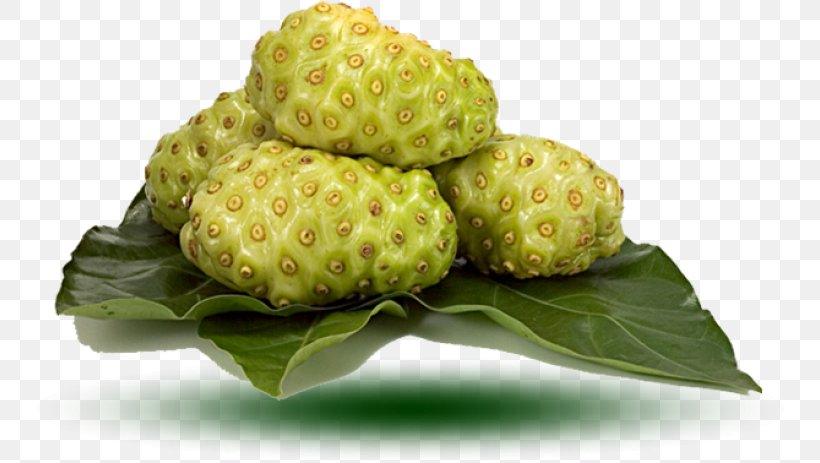Cheese Fruit Noni Juice Auglis Health, PNG, 768x463px, Cheese Fruit, Aceh, Annona, Auglis, Capsule Download Free