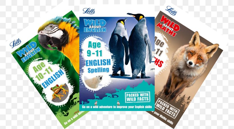 Letts Wild About Learning, PNG, 793x451px, Spelling, Advertising, Book, Brand, English Language Download Free