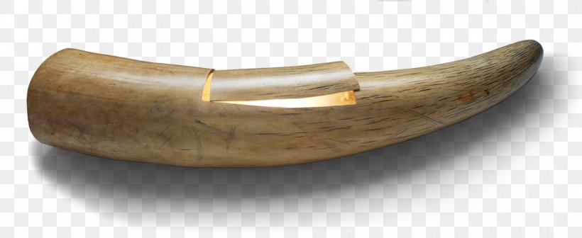 African Elephant Ivory Trade Tusk, PNG, 1200x493px, African Elephant, Body Jewellery, Body Jewelry, Elephant, Human Tooth Download Free