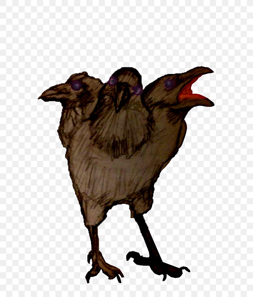 Beak Crow Chicken As Food, PNG, 720x960px, Beak, Bird, Chicken, Chicken As Food, Crow Download Free