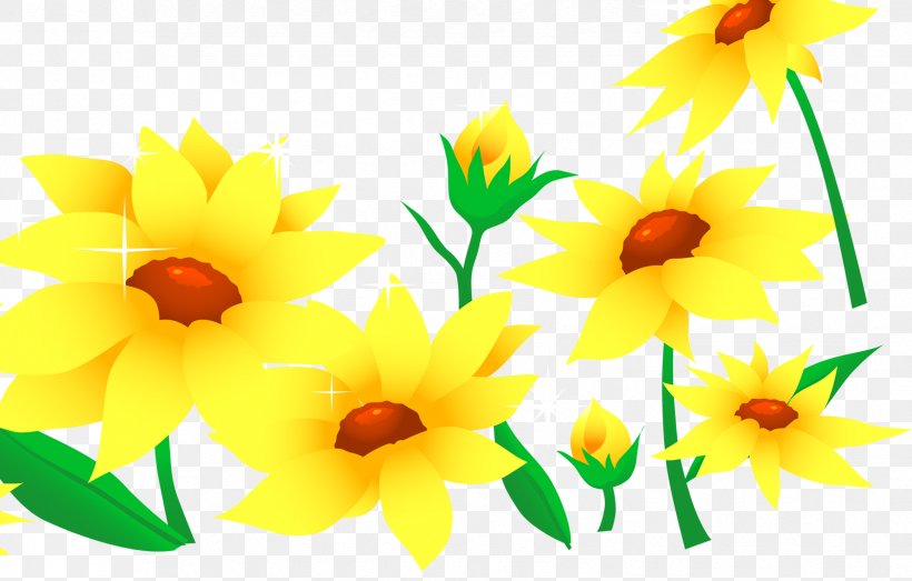 Flower Petal Floral Design, PNG, 1678x1071px, Flower, Chrysanthemum, Daisy Family, Floral Design, Floristry Download Free
