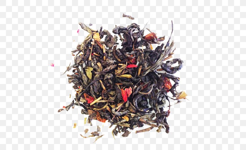 Green Tea Dianhong Nilgiri Tea Tea Plant, PNG, 670x500px, Green Tea, Assam Tea, Black Tea, Camellia, Ceylon Tea Download Free