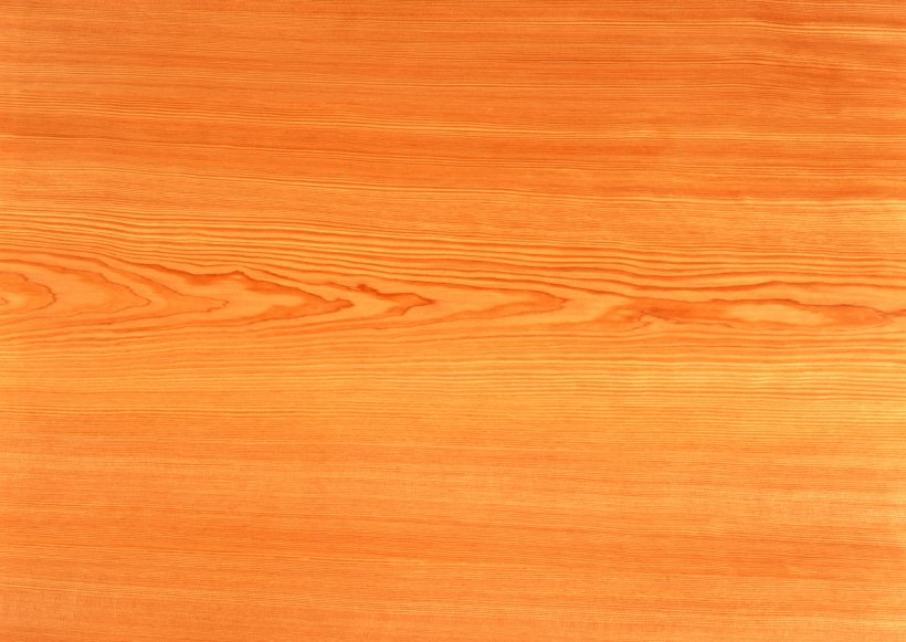 Hardwood Wood Stain Varnish Wood Flooring Plywood, PNG, 1264x897px, Hardwood, Floor, Flooring, Laminate Flooring, Lamination Download Free
