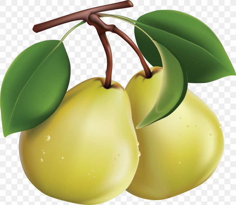 Pear Clip Art, PNG, 3572x3104px, Asian Pear, Apple, Citrus, Food, Fruit Download Free