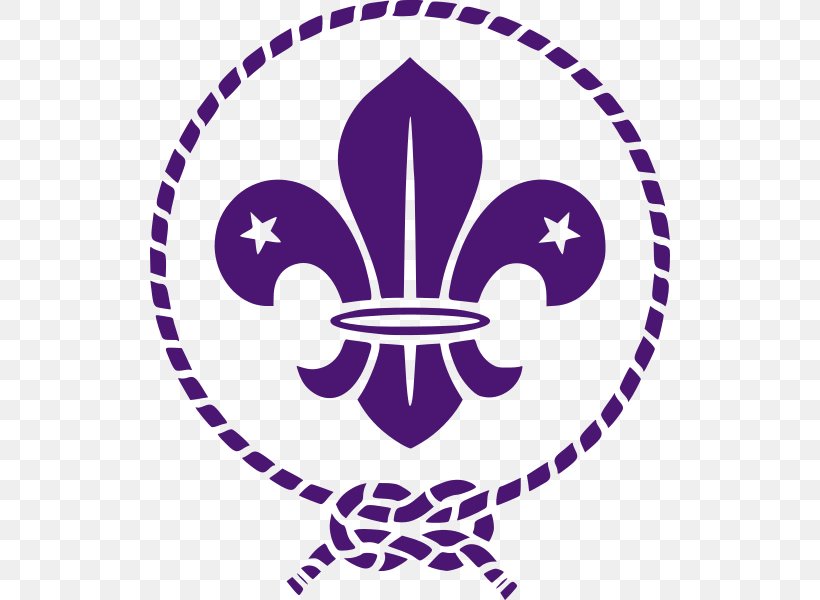 Scouting For Boys World Scout Emblem World Organization Of The Scout Movement Logo, PNG, 520x600px, Scouting For Boys, Area, Artwork, Cub Scout, Girl Scouts Of The Usa Download Free