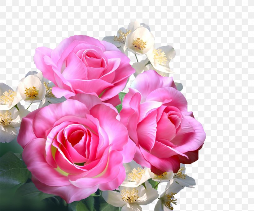 Still Life: Pink Roses Garden Roses Centifolia Roses Beach Rose, PNG, 1024x853px, Still Life Pink Roses, Artificial Flower, Beach Rose, Centifolia Roses, Color Download Free