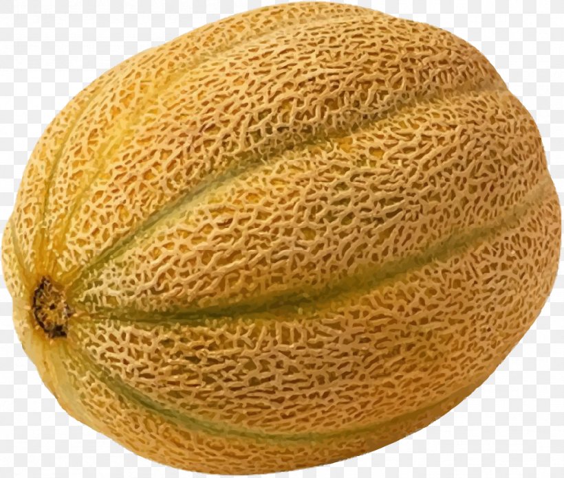 Cantaloupe 2011 United States Listeriosis Outbreak Honeydew Watermelon, PNG, 999x849px, Cantaloupe, Commodity, Cucumber Gourd And Melon Family, Cucumis, Food Download Free