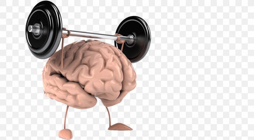 Cognitive Training Human Brain CrossFit Wonderland Human Body, PNG, 1089x600px, Watercolor, Cartoon, Flower, Frame, Heart Download Free