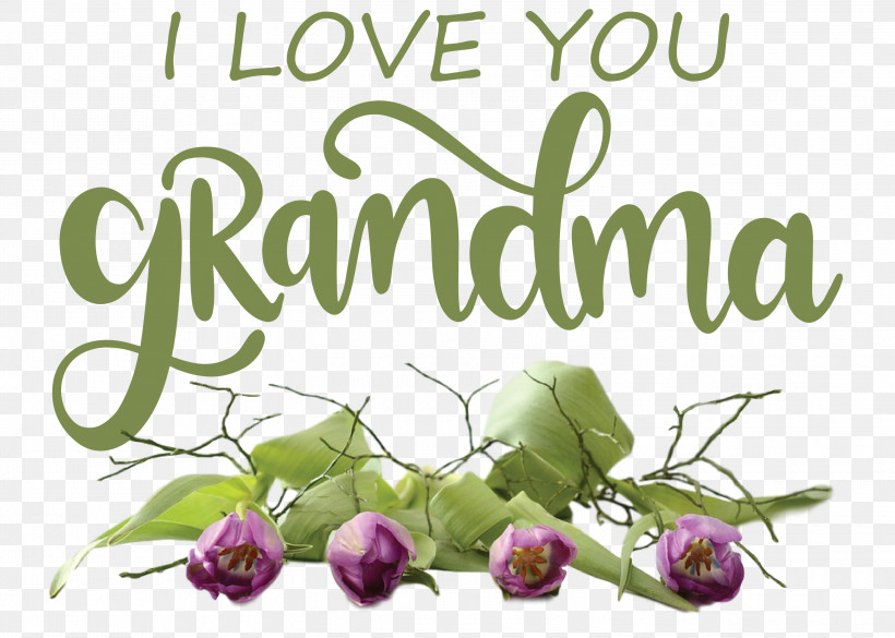 Grandmothers Day Grandma, PNG, 3000x2141px, Grandmothers Day, Biology, Cut Flowers, Floral Design, Flower Download Free