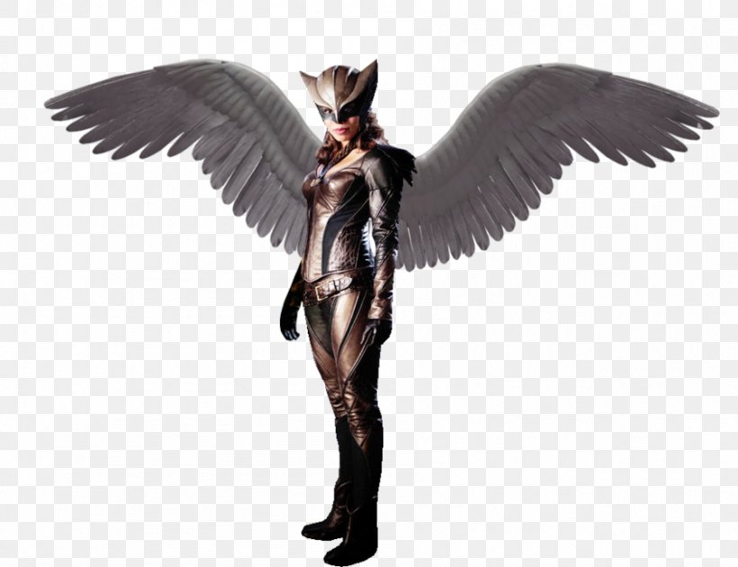 Hawkgirl Hawkman (Katar Hol) Doomsday, PNG, 899x691px, Hawkgirl, Angel, Cartoon, Comics, Dc Comics Download Free