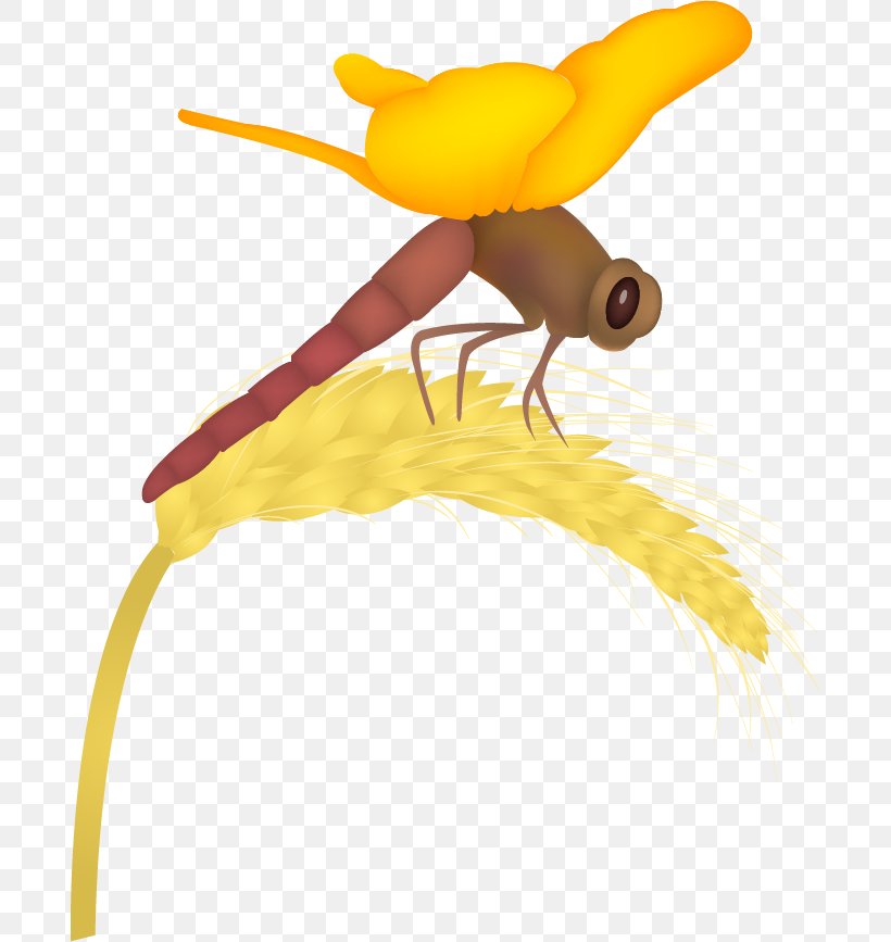 Insect Clip Art, PNG, 690x867px, Insect, Animal, Animation, Art, Beak Download Free