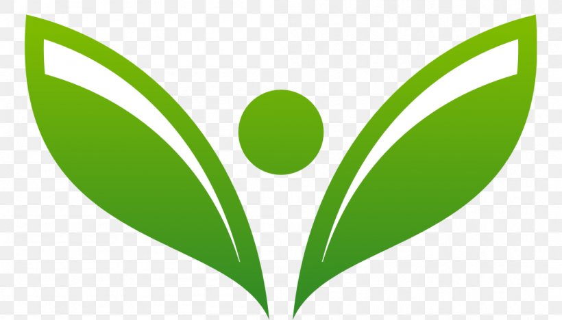 Logo Landscaping Clip Art, PNG, 1051x600px, Logo, Arecaceae, Fidget Spinner, Grass, Green Download Free
