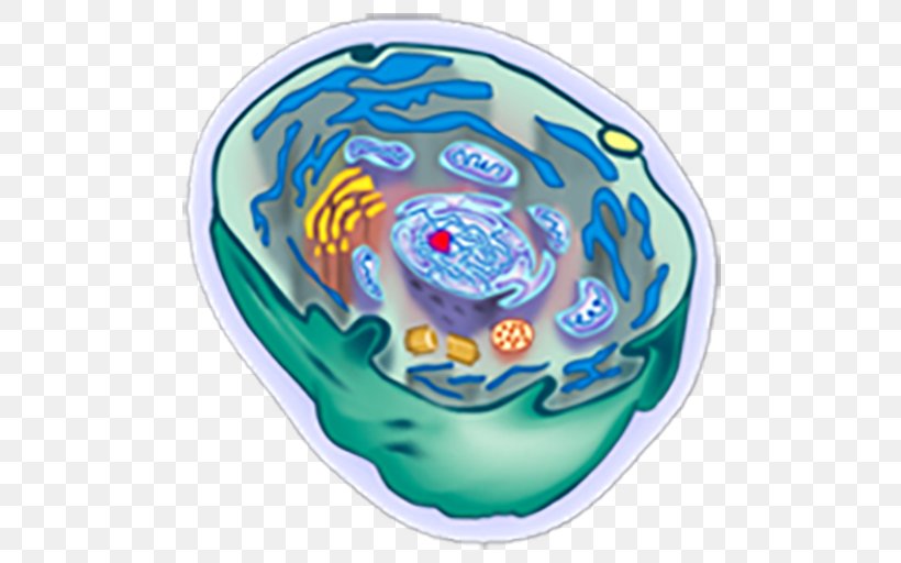 Organism Cèl·lula Animal Cell, PNG, 512x512px, Organism, Animal, Cell Download Free