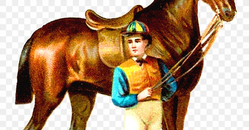 Thoroughbred Horse Racing Jockey Equestrian Clip Art, PNG, 1200x630px, Thoroughbred, Equestrian, Horse, Horse Like Mammal, Horse Racing Download Free