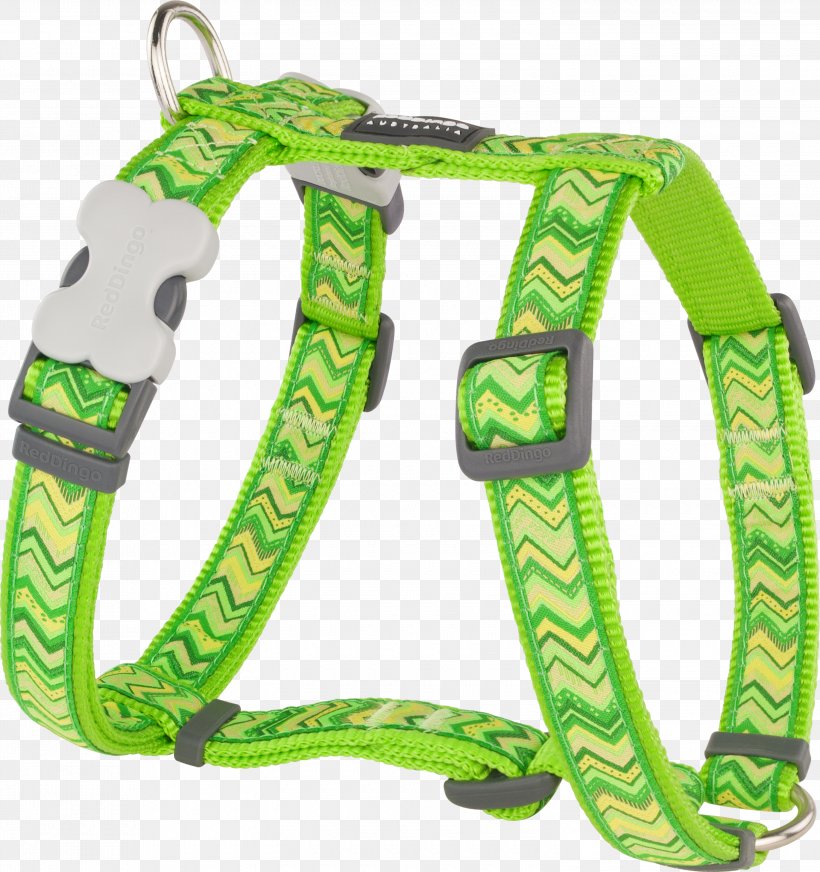 Dingo Dog Harness Horse Harnesses Leash, PNG, 3000x3193px, Dingo, Blue, Collar, Dog, Dog Collar Download Free