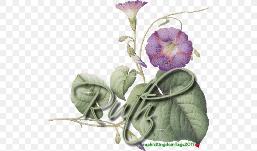 El En Be Sha O, PNG, 512x482px, Sha, Blog, Flora, Floral Design, Flower Download Free