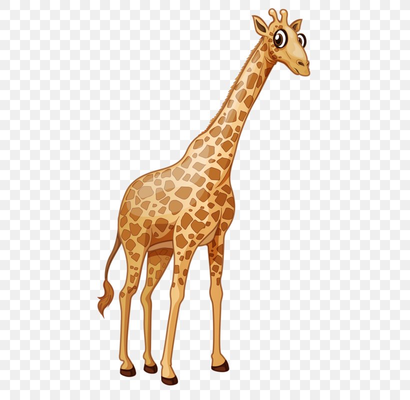 Giraffe Euclidean Vector Royalty-free Illustration, PNG, 477x800px, Giraffe, Deer, Drawing, Fauna, Giraffidae Download Free