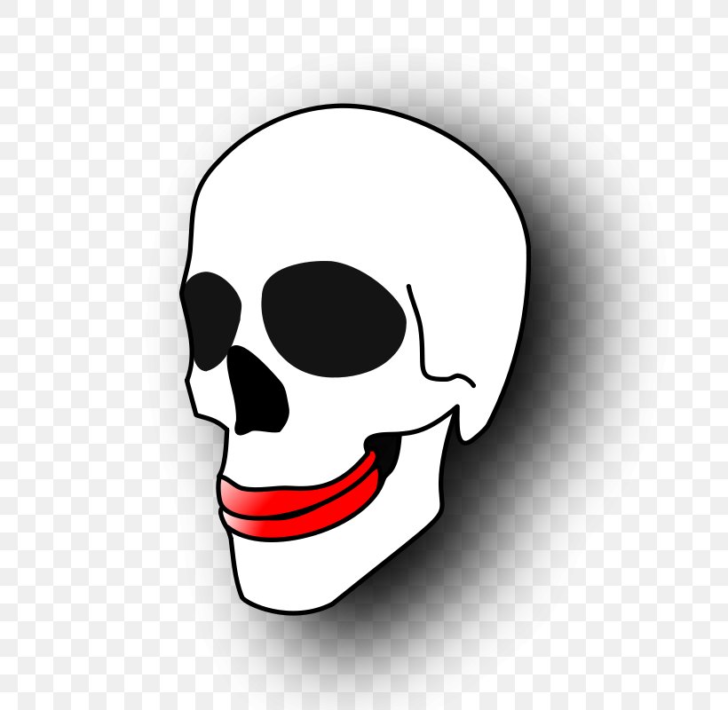 Human Skull Symbolism Clip Art, PNG, 800x800px, Skull, Bone, Cartoon, Face, Free Content Download Free