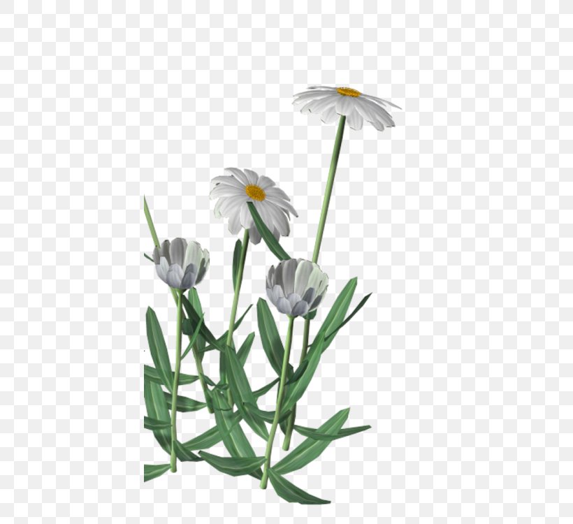 Clip Art Watercolor Painting Image, PNG, 408x750px, Watercolor Painting, Art, Chamomile, Common Daisy, Cut Flowers Download Free