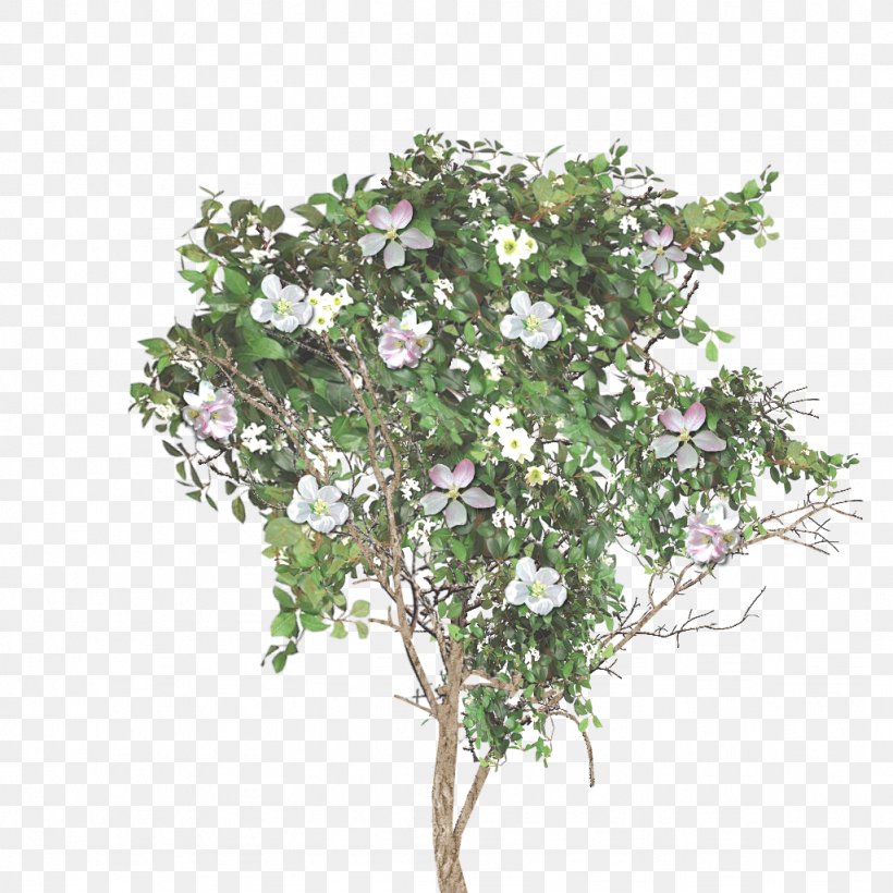 Twig Flowerpot Houseplant Lilac Shrub, PNG, 1024x1024px, Twig, Branch, Flower, Flowering Plant, Flowerpot Download Free