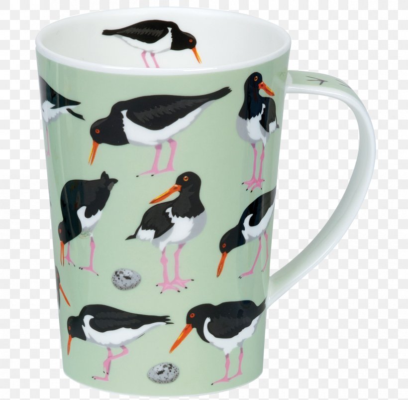 Bird Mug Coffee Cup Haematopus Argyll, PNG, 1200x1176px, Bird, American Oystercatcher, Animal, Argyll, Argyll And Bute Download Free