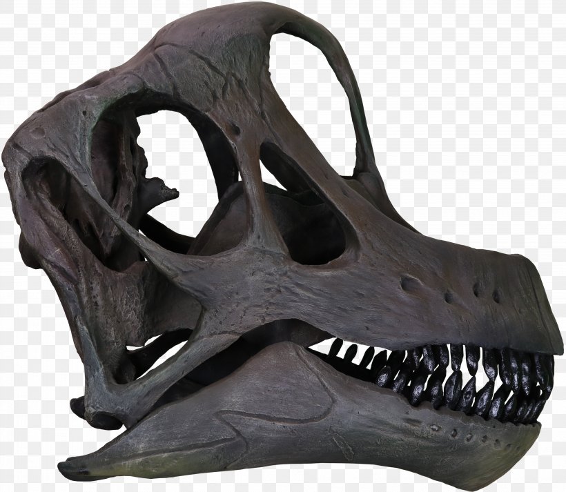 Brachiosaurus Morrison Formation Skull Bone, PNG, 3812x3319px, Brachiosaurus, Bone, Colorado, Dinosaur, Geological Formation Download Free