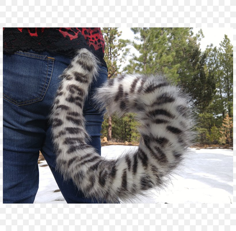 Cat Felidae Leopard Tail Furry Fandom, PNG, 800x800px, Cat, Big Cat, Big Cats, Cat Like Mammal, Cosplay Download Free