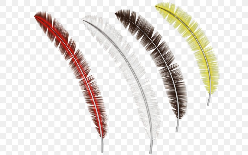 Feather Image Resolution, PNG, 1280x800px, Feather, Color, Computer Software, Eyelash, Gratis Download Free