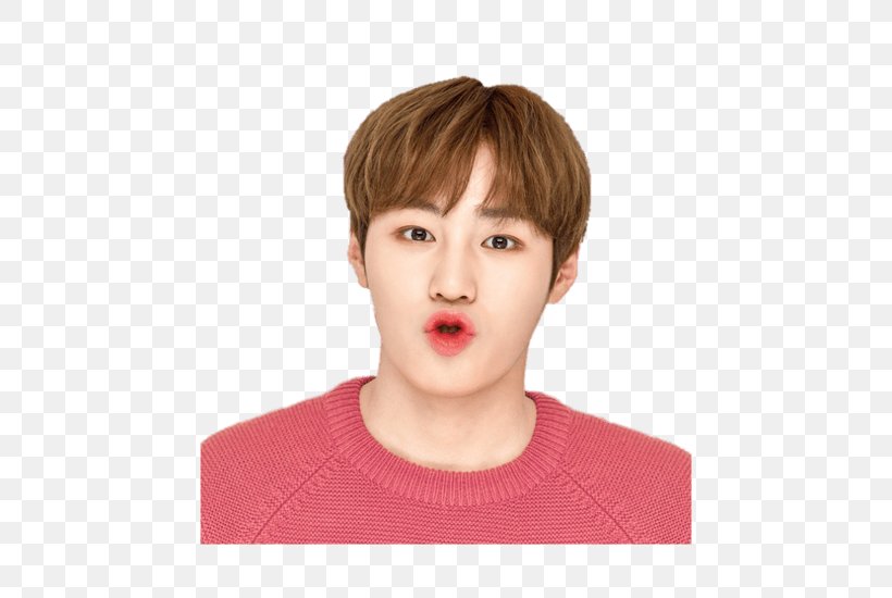 Ha Sung-woon Wanna One Lip Balm 1X1=1 (To Be One), PNG, 550x550px, Ha Sungwoon, Bangs, Brown Hair, Cheek, Chin Download Free