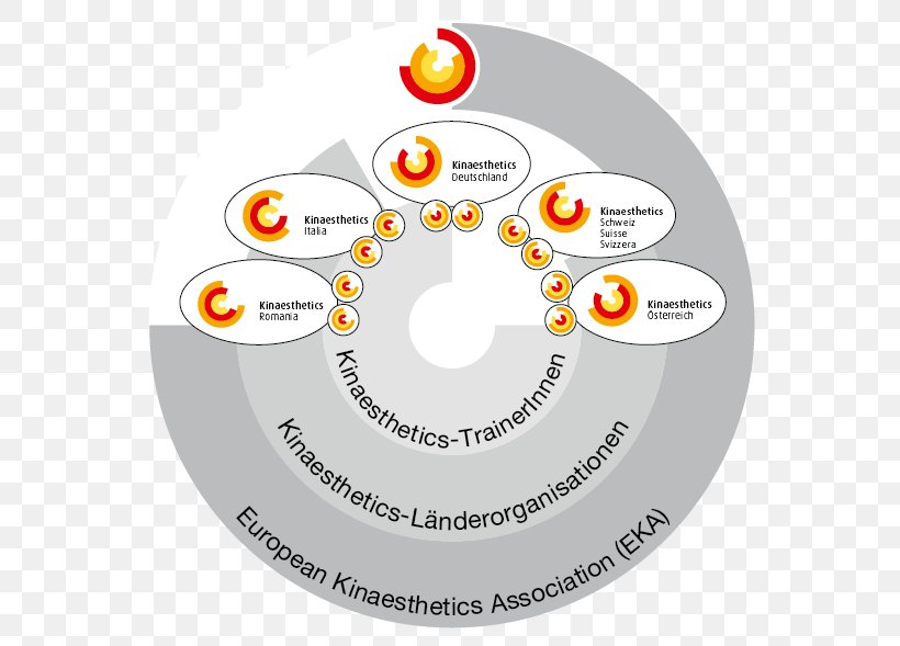 Organization Logo Compact Disc, PNG, 571x589px, Organization, Area, Brand, Compact Disc, Diagram Download Free