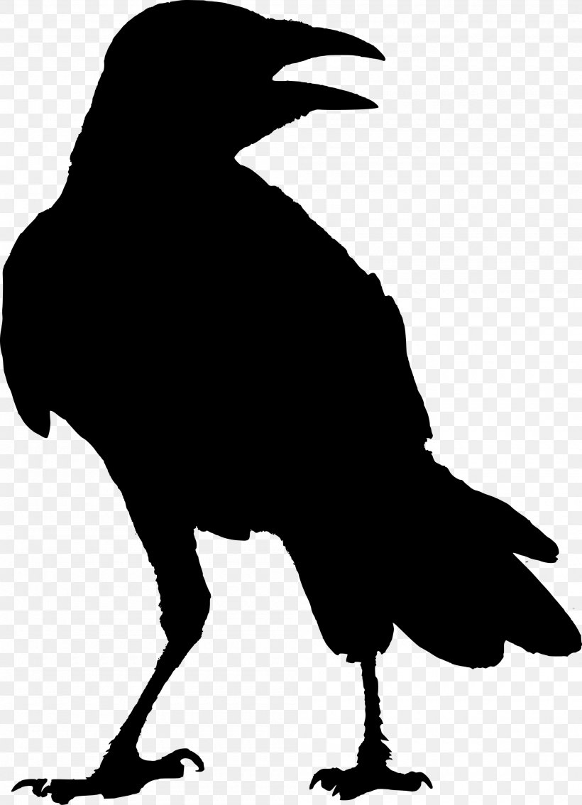 American Crow Common Raven G Whitcoe Designs Rook, PNG, 2000x2766px, American Crow, Artwork, Beak, Bird, Black And White Download Free