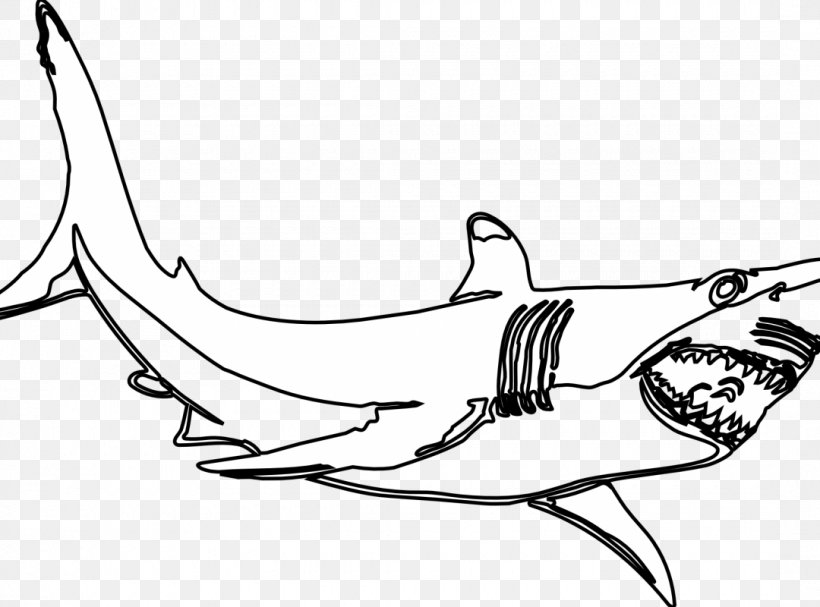 Great White Shark Clip Art Drawing Image, PNG, 1080x800px, Shark, Area, Arm, Art, Artwork Download Free